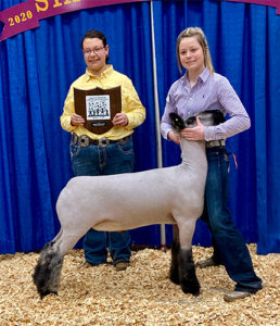 Shroyer Showstock Winners