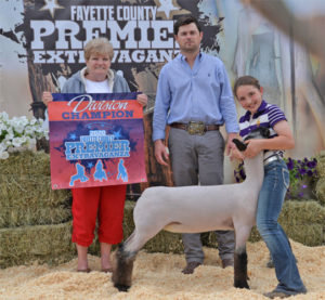 Shroyer Showstock Winners