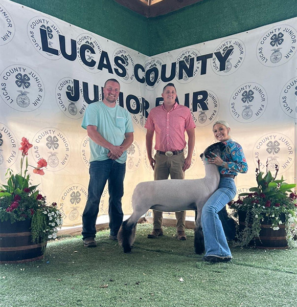 Reserve Commercial Ewe Lucas County Open