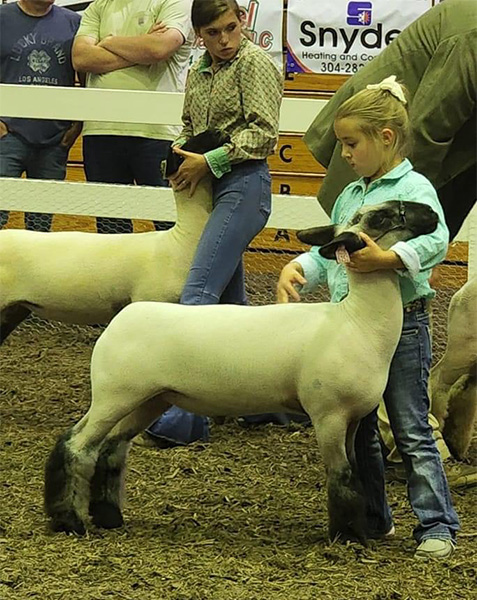 Reserve Champion Middleweight Division and 5th Overall Peewee Showmanship 2022 Appalachian Youth Livestock Showcase
