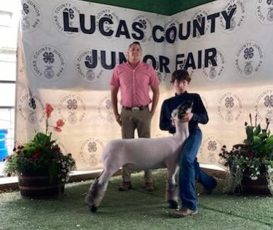 Reserve Market Lamb Lucas County Open