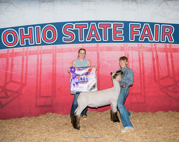 Champion Shrop 2022 Ohio State Fair Open Show