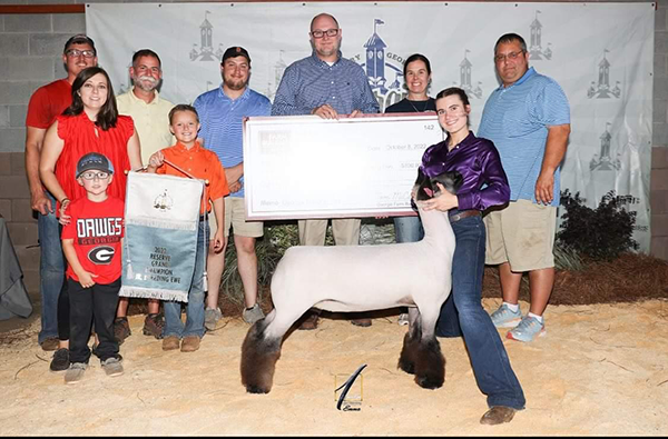 Reserve Champion Overall 2022 Georgia Nationals Commercial Ewe Show