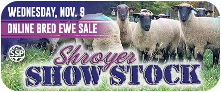 Shroyer October Born Online Sale