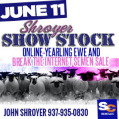 Shroyer Show Stock Feb. 12 Online Sale