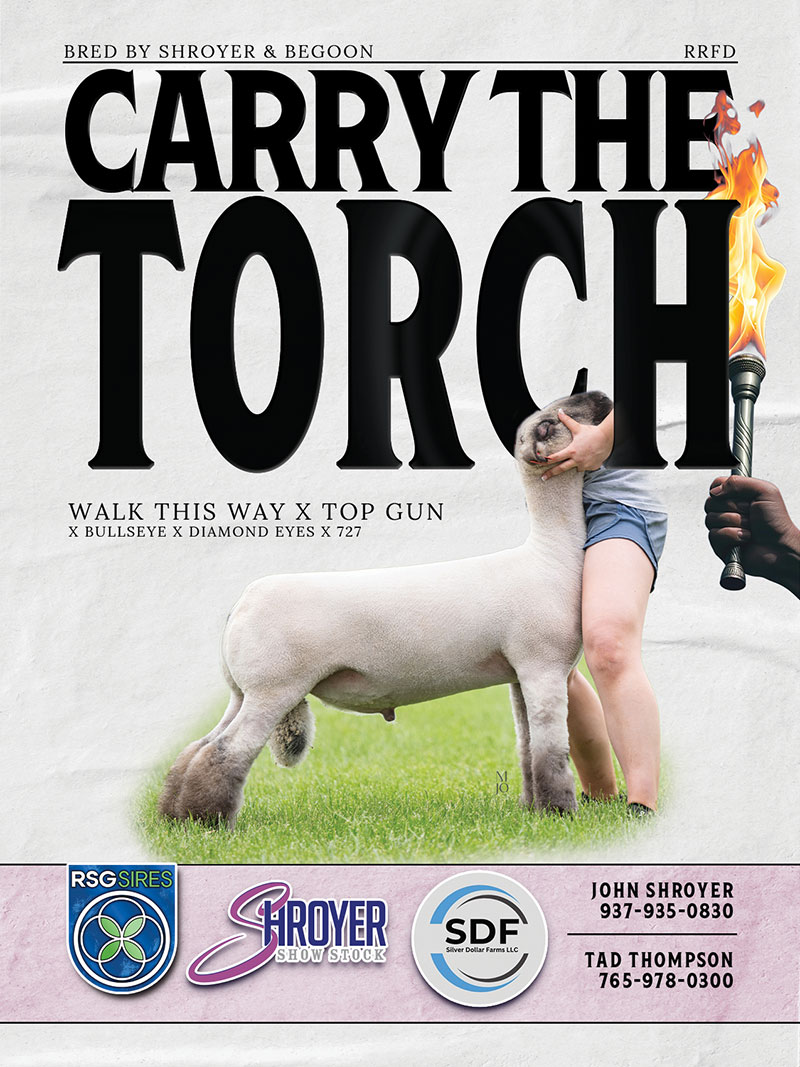 Carry The Torch Carry The Torch