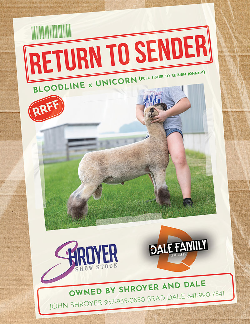 Return To Sender Return To Sender